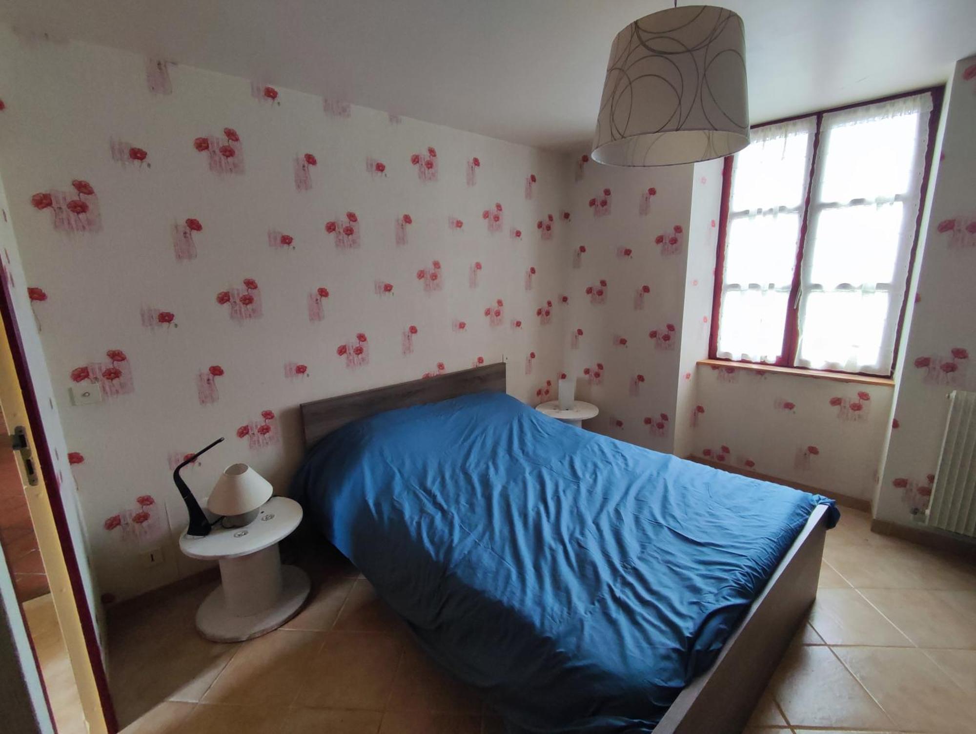 Gite De La Courtaudiere Le Petit-Pressigny 외부 사진